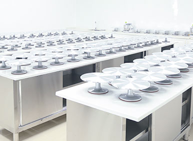 ����������ѵ