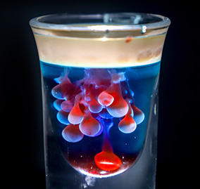 ��������ѧУѧ����