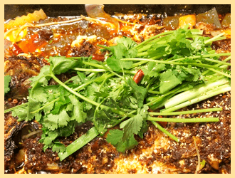 �����������ѧУѧ��������Ʒ